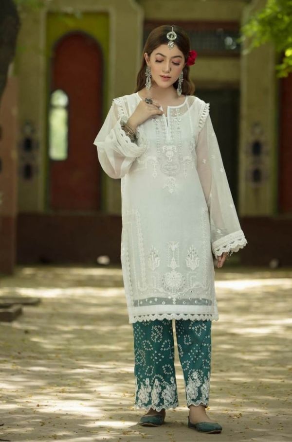 BAAG-E-DARAZ  Organza Net Shirt By Nuriyaa