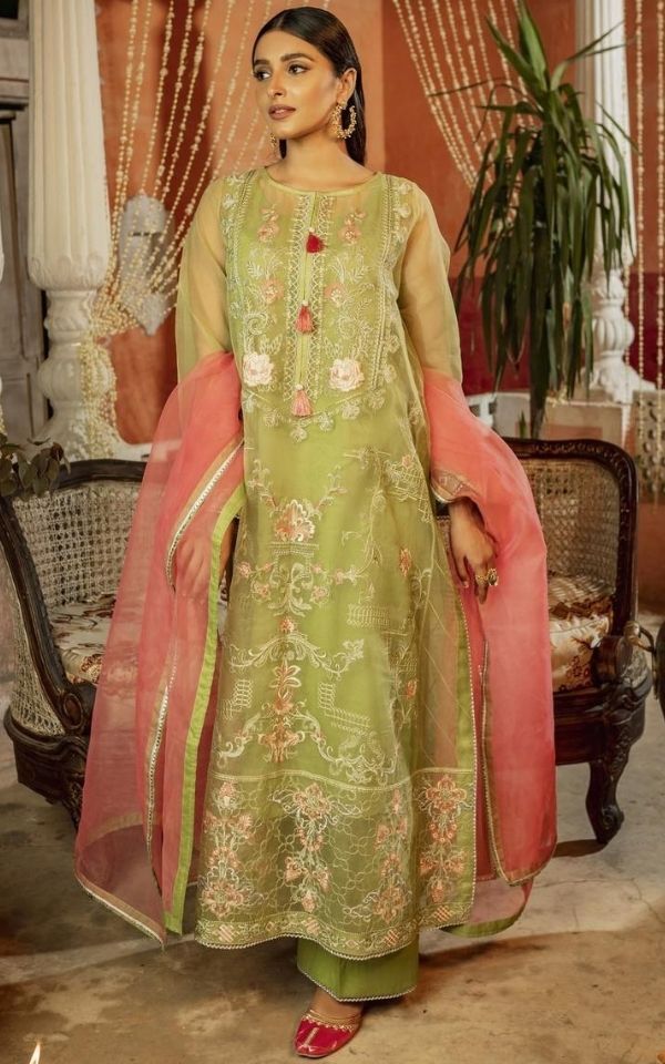 Gul E Zar - Light Olive Green Organza Outfit with Inteicate Embroidery