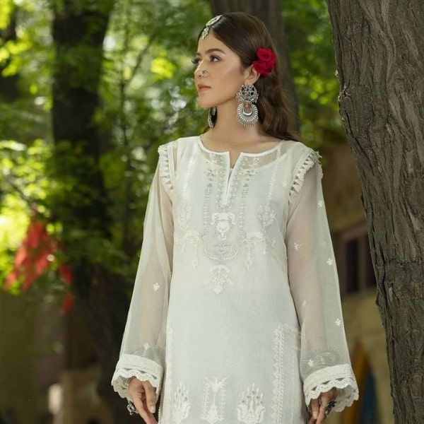 BAAG E DARAZ Organza net shirt By Nuriyaa