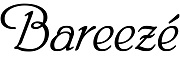 Bareeze Brand Dresses - Bareeze Chiffon, Net and Velvet Dresses 2021- HelloKhan.com